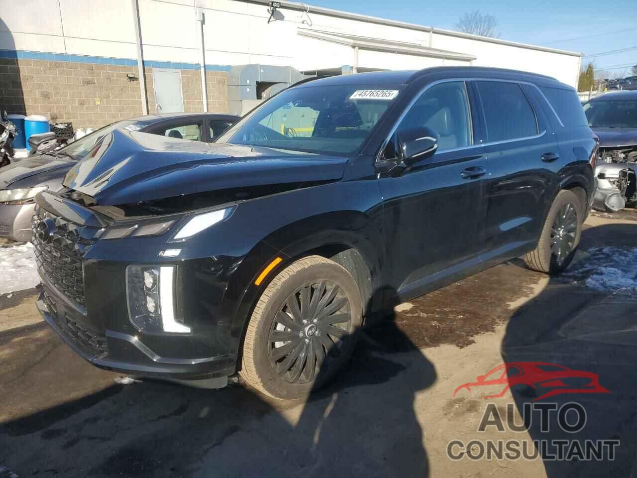 HYUNDAI PALISADE 2024 - KM8R7DGE9RU736125