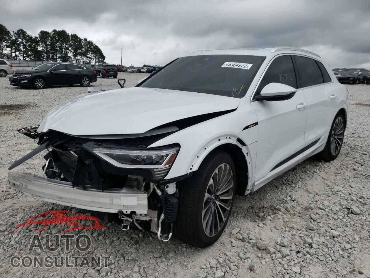 AUDI E-TRON 2019 - WA1VAAGE3KB022487
