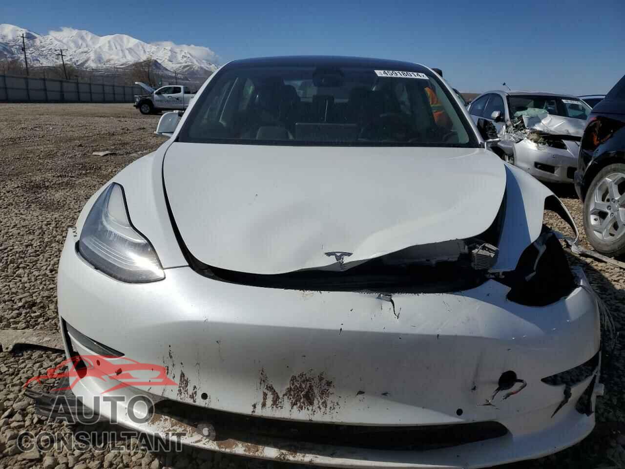 TESLA MODEL 3 2019 - 5YJ3E1EB7KF213031