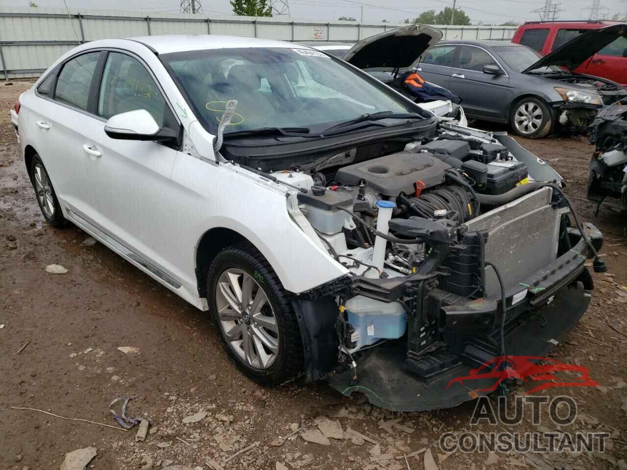 HYUNDAI SONATA 2016 - 5NPE34AF8GH288872