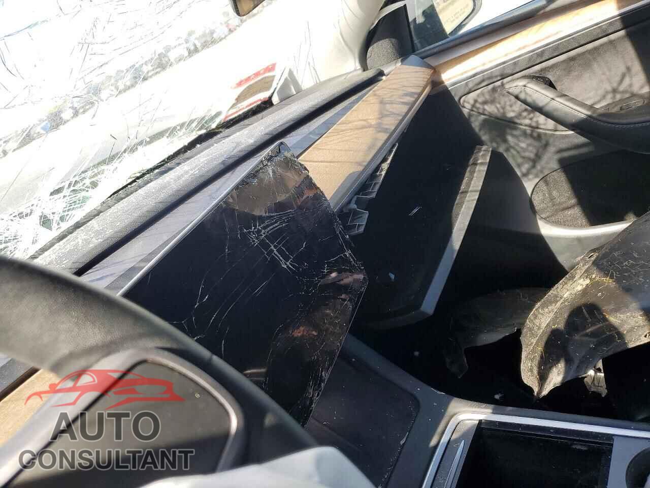 TESLA MODEL Y 2023 - 7SAYGDEF8PF715772
