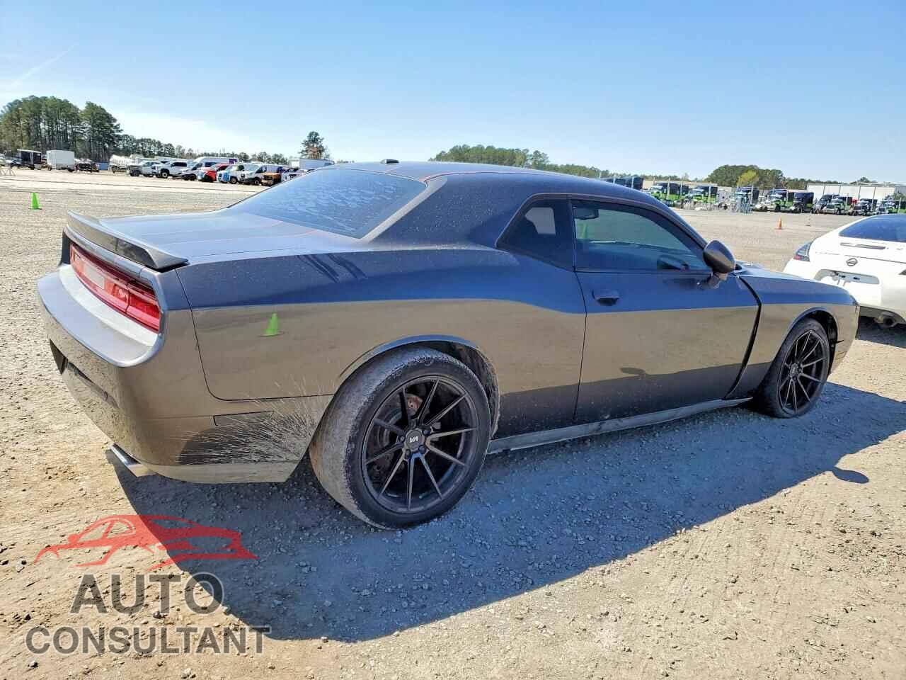 DODGE CHALLENGER 2014 - 2C3CDYBTXEH100380