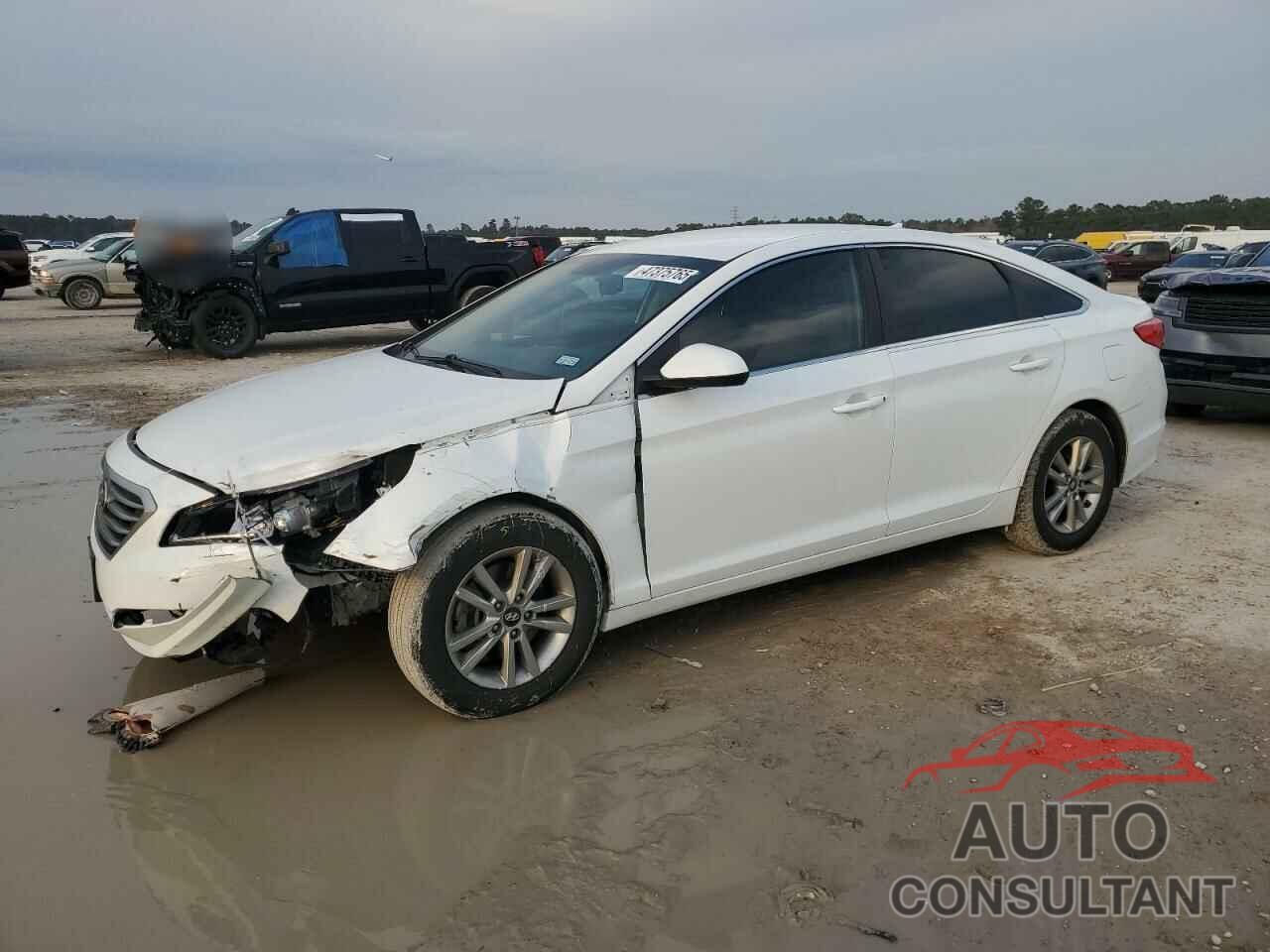 HYUNDAI SONATA 2017 - 5NPE24AF8HH545758