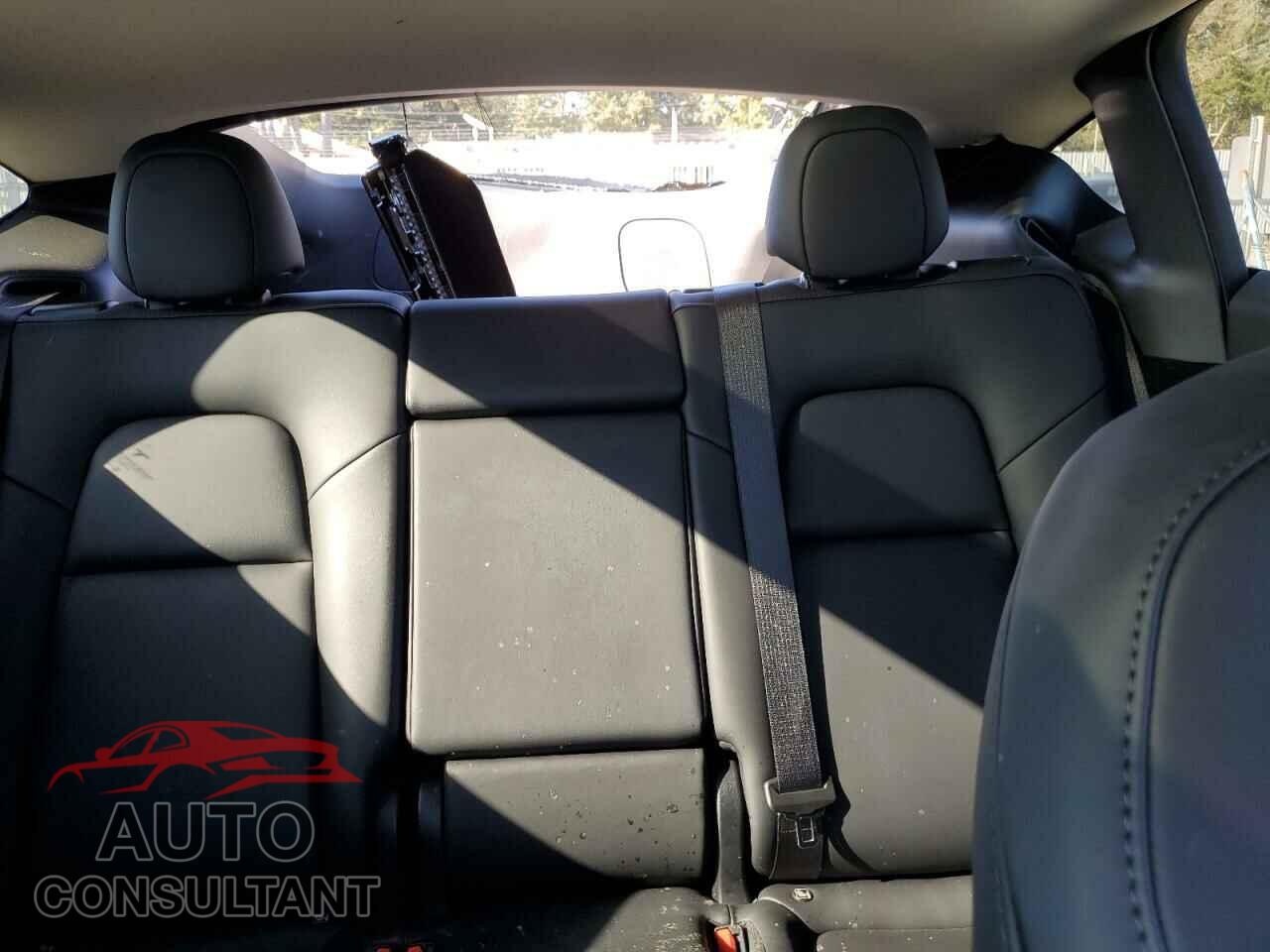 TESLA MODEL Y 2024 - 7SAYGDED3RF151577