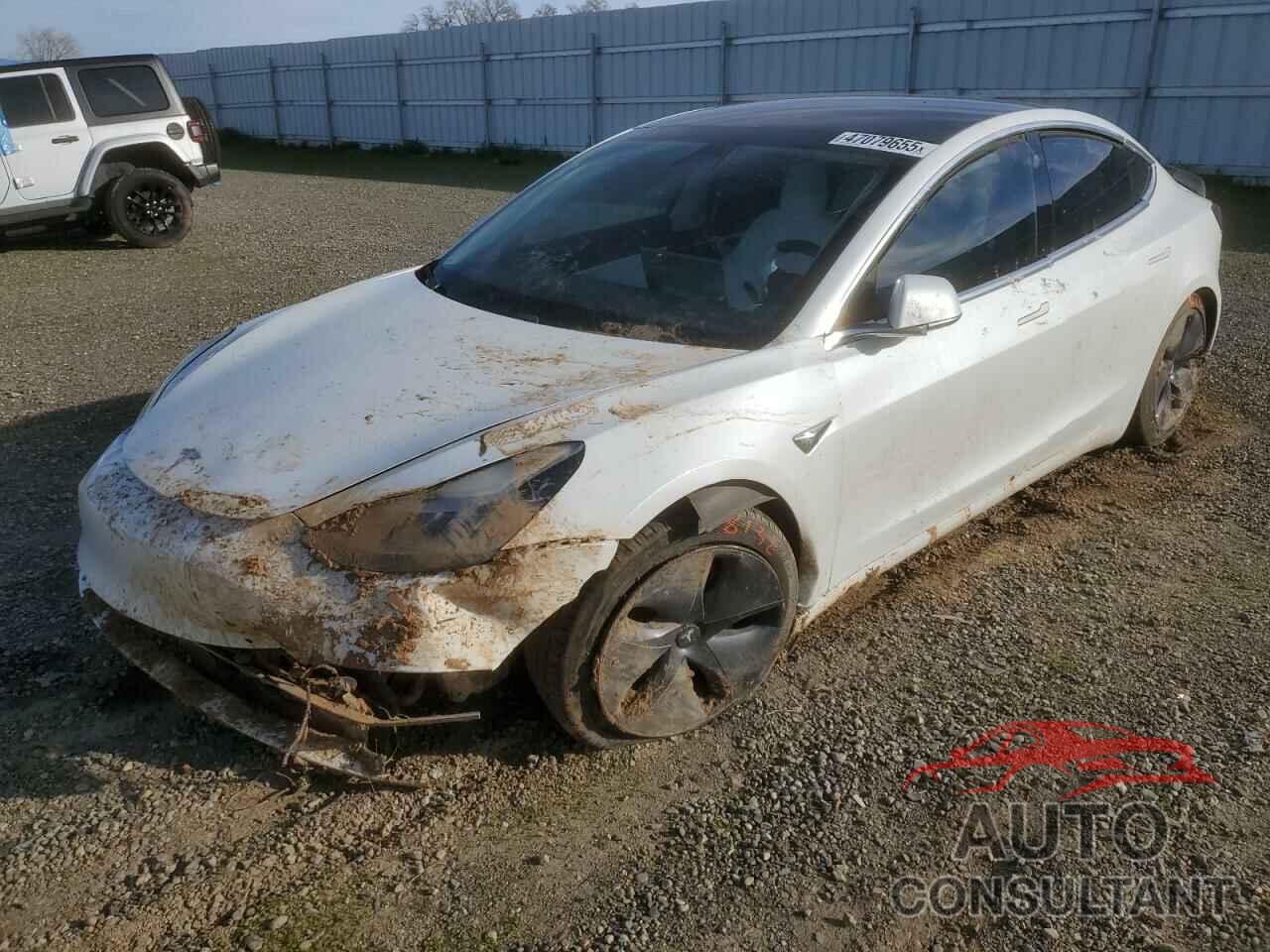 TESLA MODEL 3 2019 - 5YJ3E1EB3KF513195