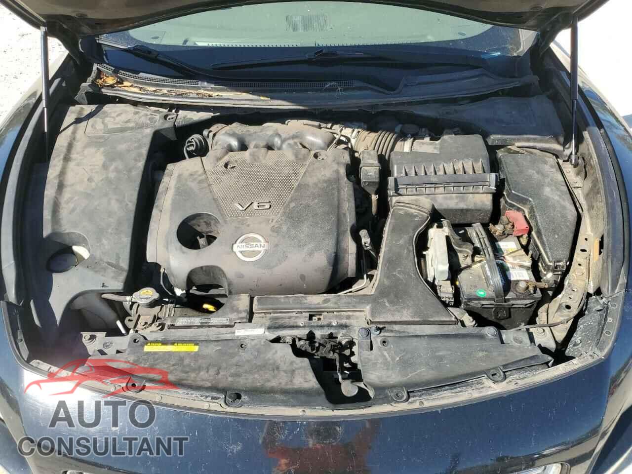 NISSAN MAXIMA 2009 - 1N4AA51EX9C845822