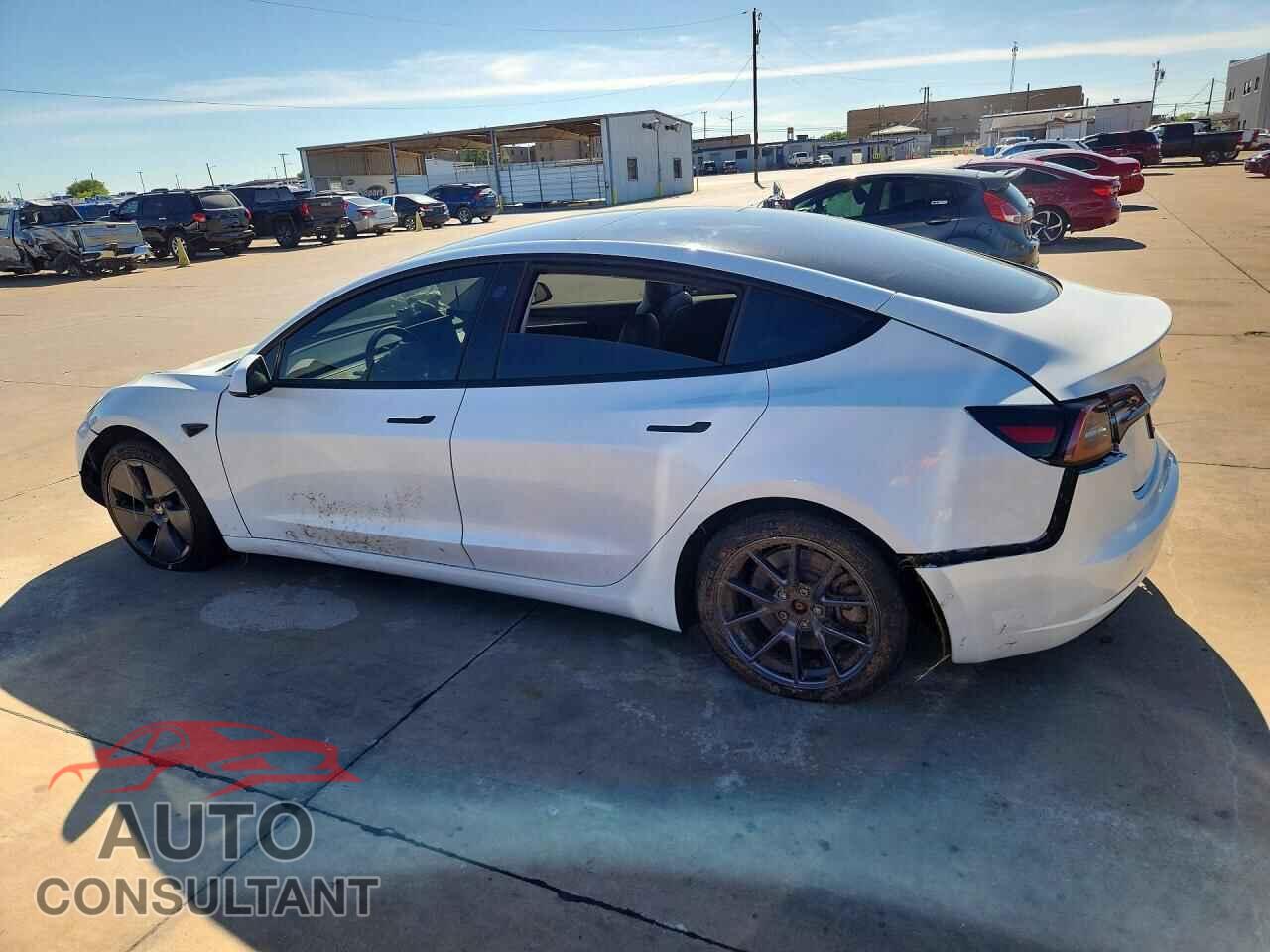 TESLA MODEL 3 2021 - 5YJ3E1EA3MF062019