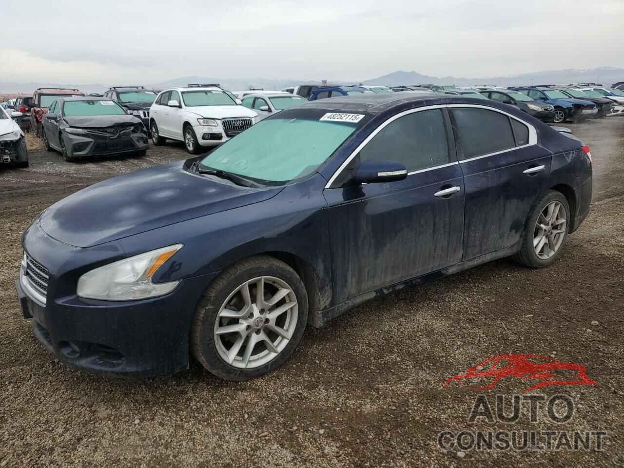 NISSAN MAXIMA 2009 - 1N4AA51E39C825427