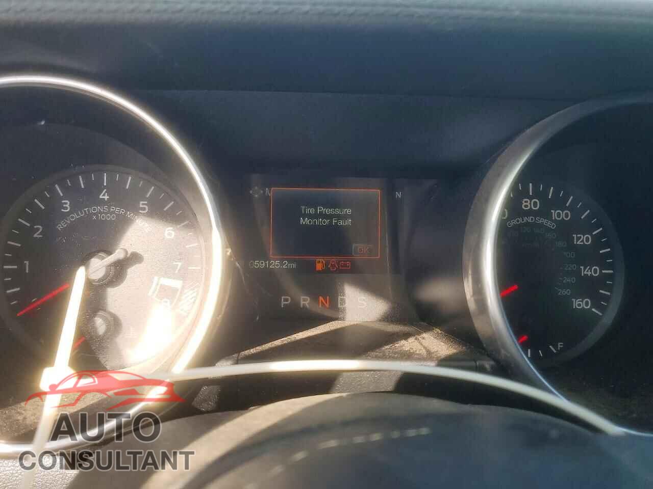 FORD MUSTANG 2019 - 1FA6P8CF7K5166676