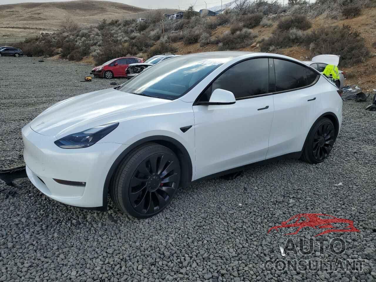 TESLA MODEL Y 2022 - 7SAYGDEF5NF569179