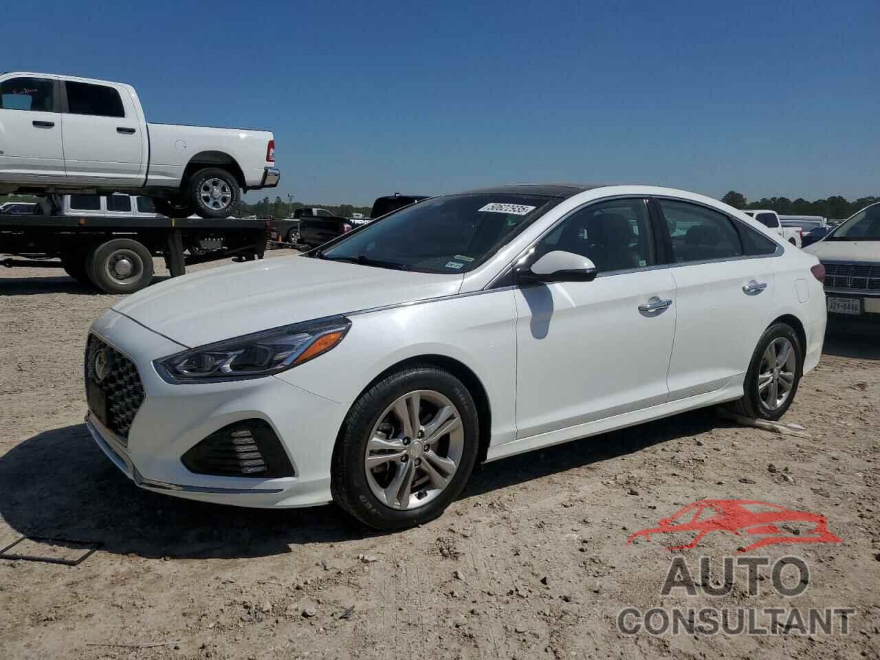 HYUNDAI SONATA 2019 - 5NPE34AF6KH779417