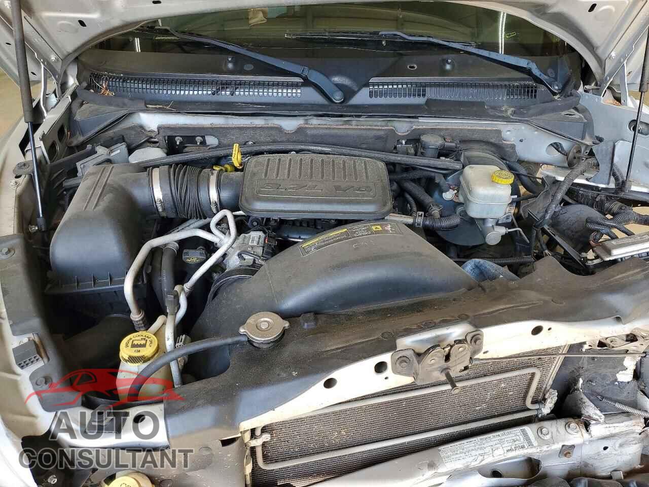 DODGE DAKOTA 2010 - 1D7CW3GK8AS228313