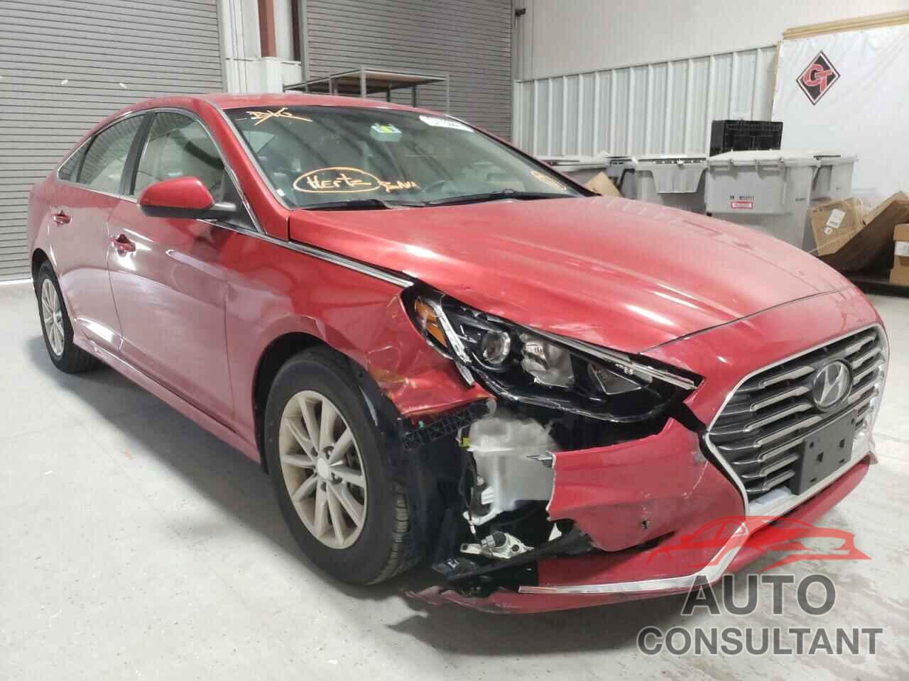 HYUNDAI SONATA 2019 - 5NPE24AF6KH784636