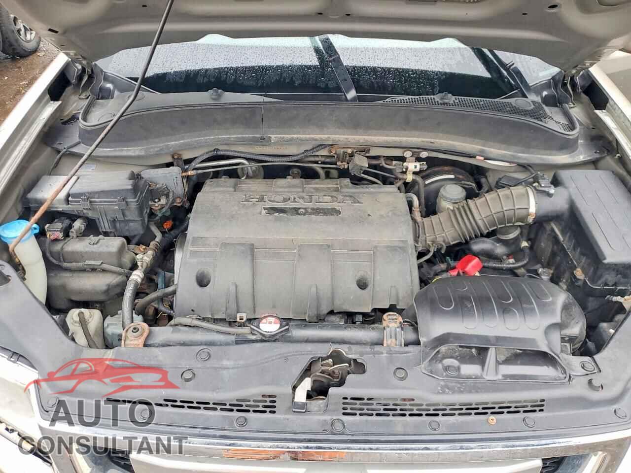 HONDA RIDGELINE 2010 - 5FPYK1F43AB010318