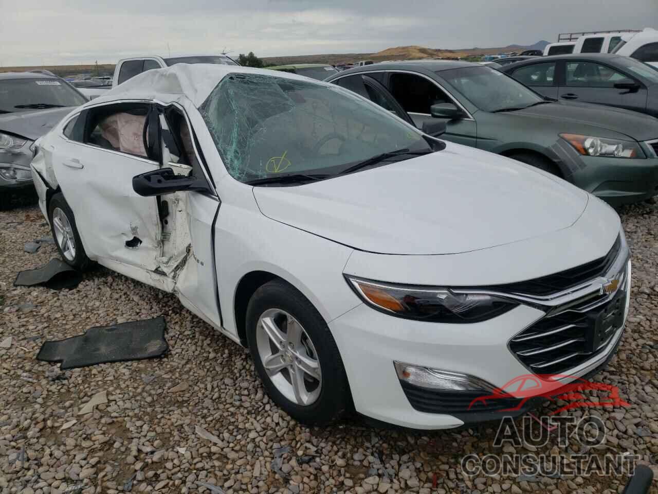 CHEVROLET MALIBU 2019 - 1G1ZB5ST8KF146077