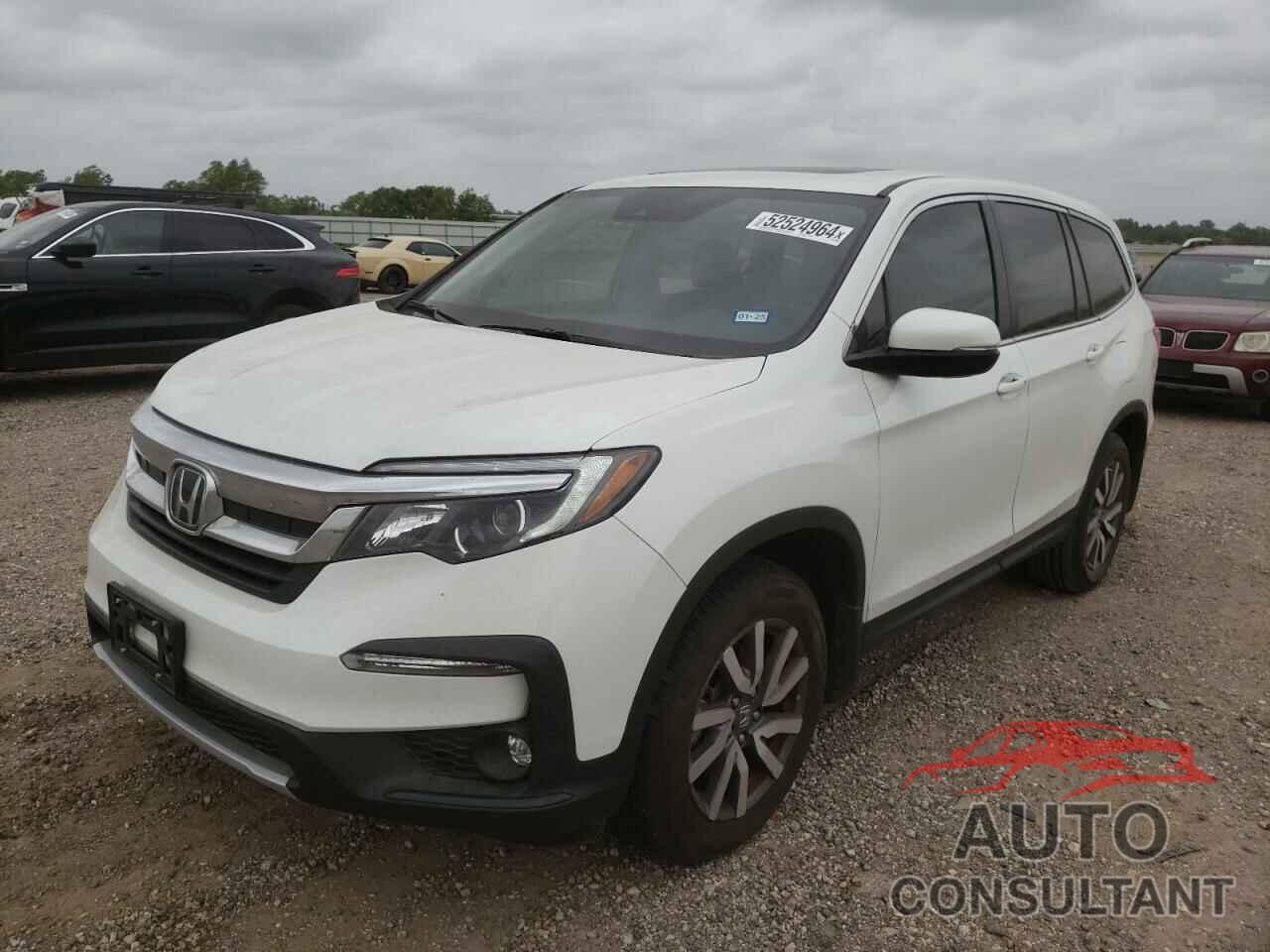 HONDA PILOT 2022 - 5FNYF5H51NB012892