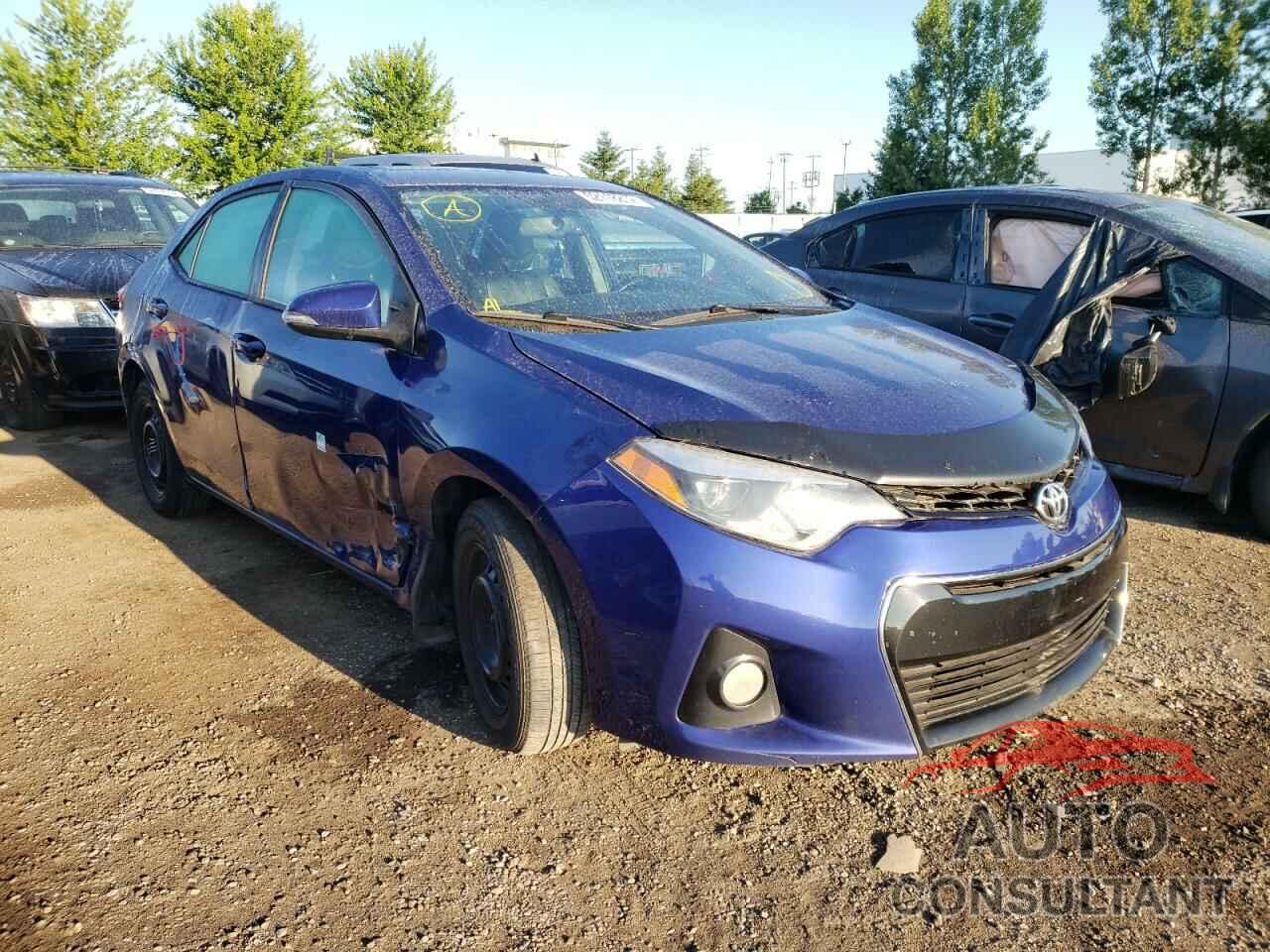 TOYOTA COROLLA 2016 - 2T1BURHE7GC658285
