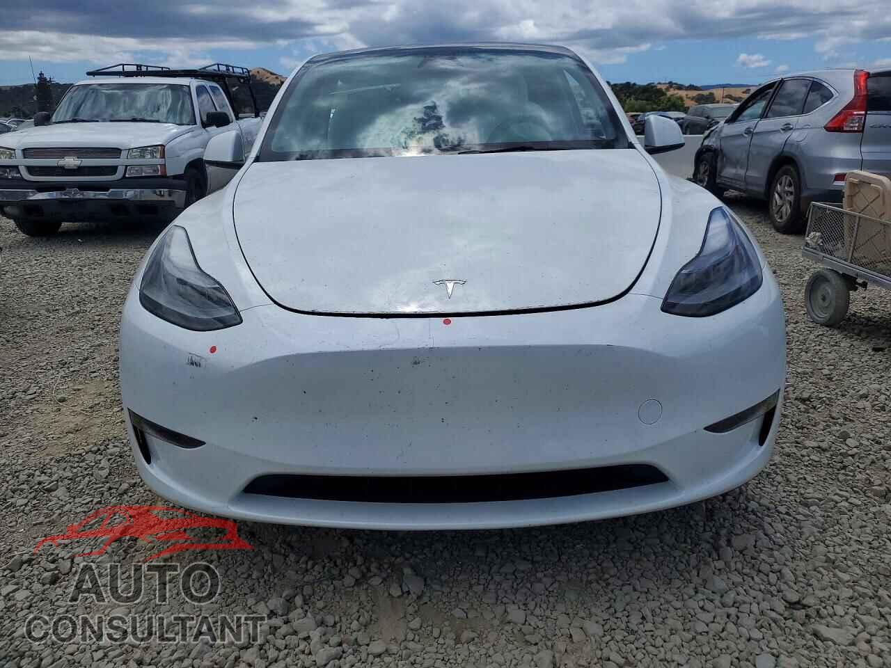 TESLA MODEL Y 2023 - 7SAYGDEE2PF801540