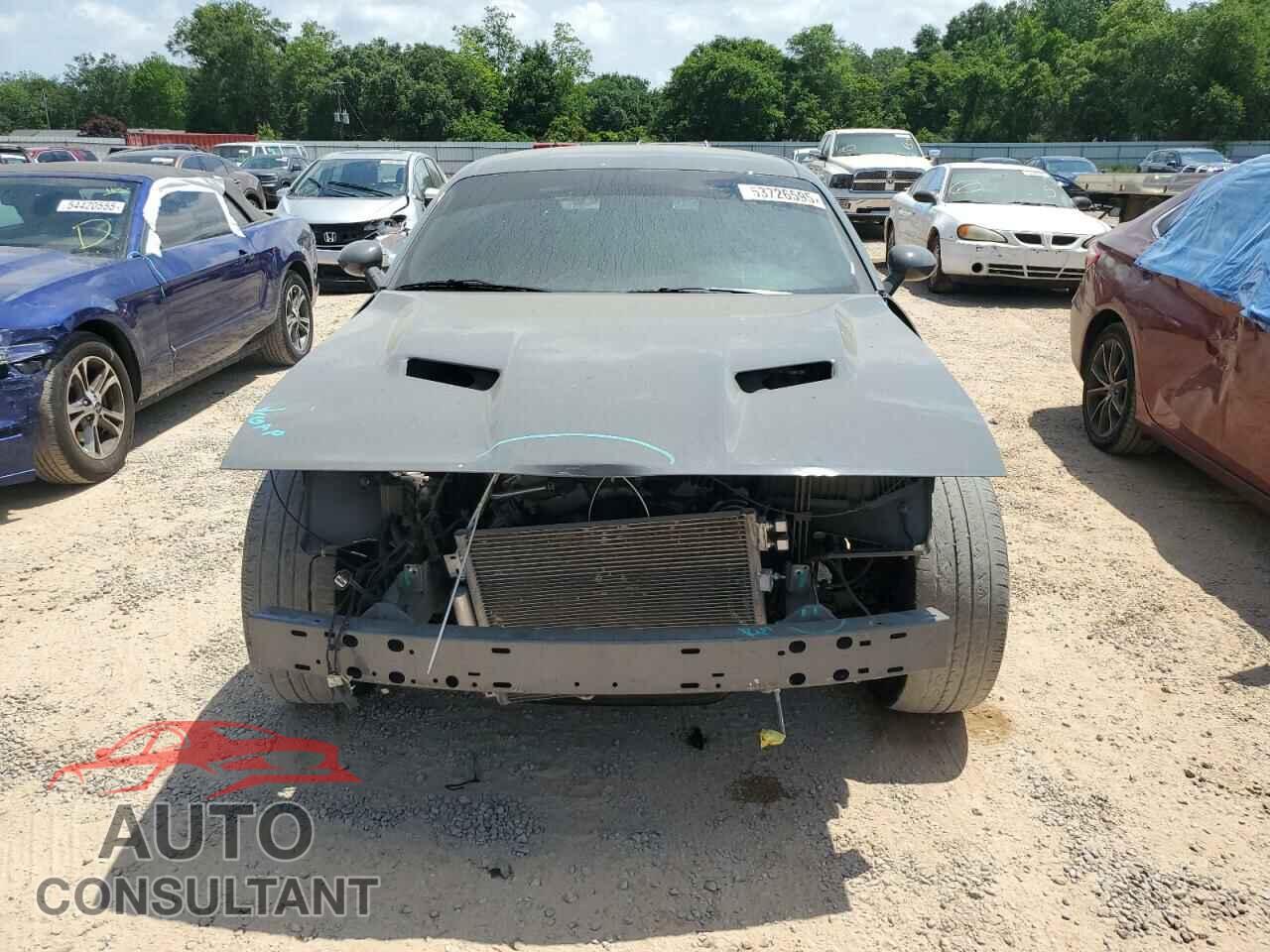 DODGE CHALLENGER 2019 - 2C3CDZAG3KH541547