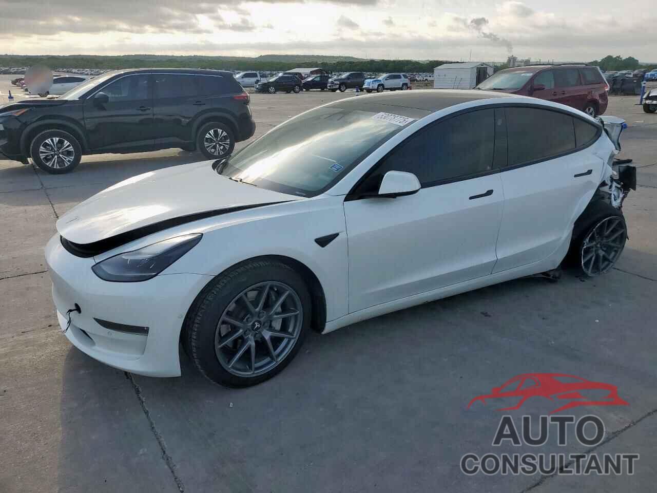 TESLA MODEL 3 2021 - 5YJ3E1EB7MF923999