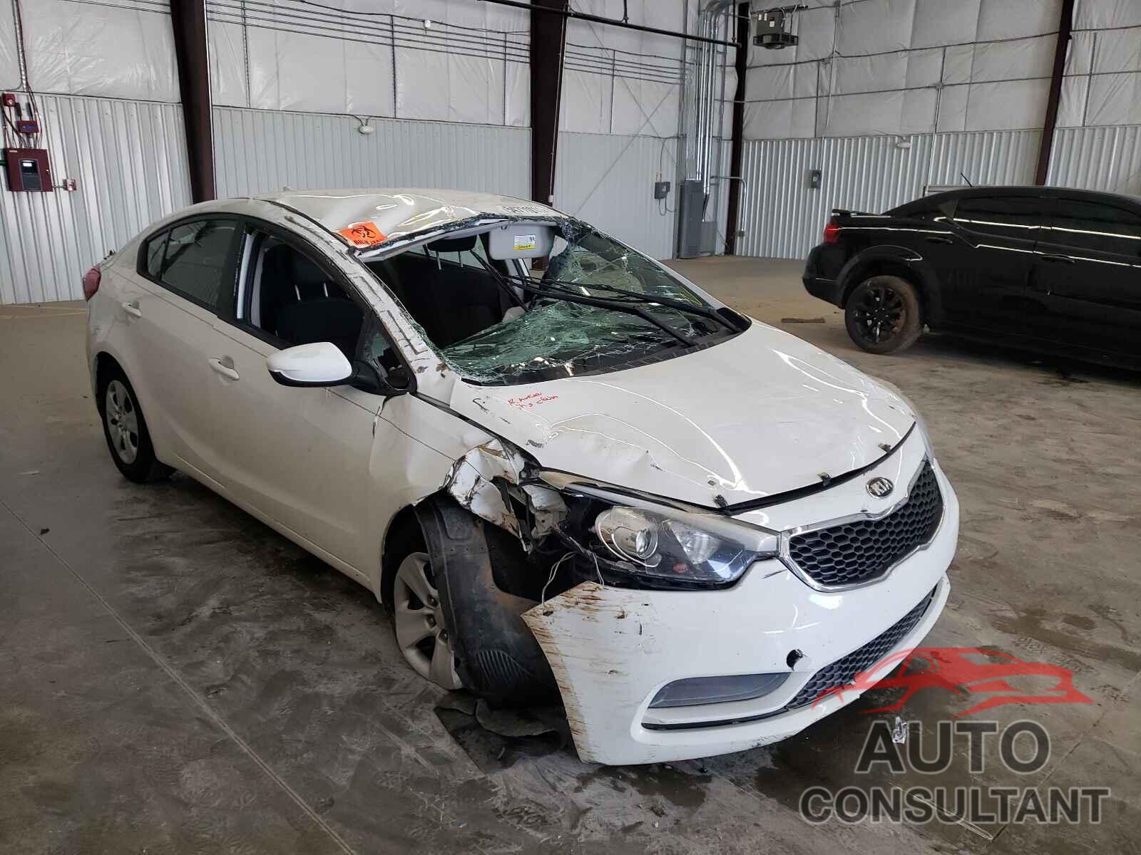 KIA FORTE 2016 - KNAFK4A61G5443346