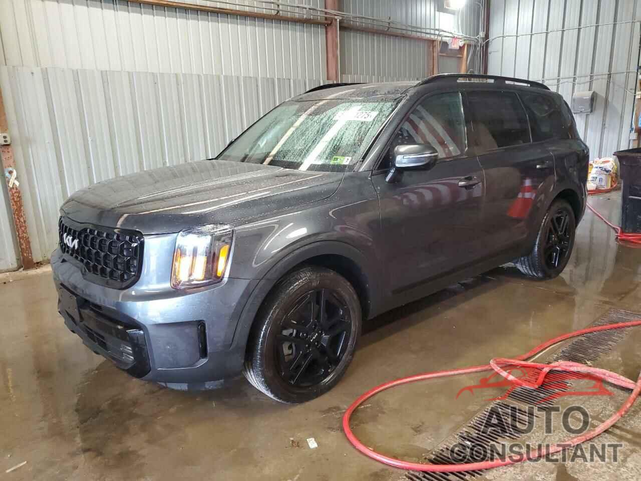 KIA TELLURIDE 2024 - 5XYP5DGC2RG522580