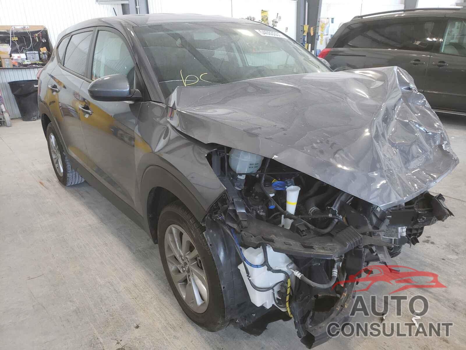HYUNDAI TUCSON 2017 - KM8J23A42HU575265