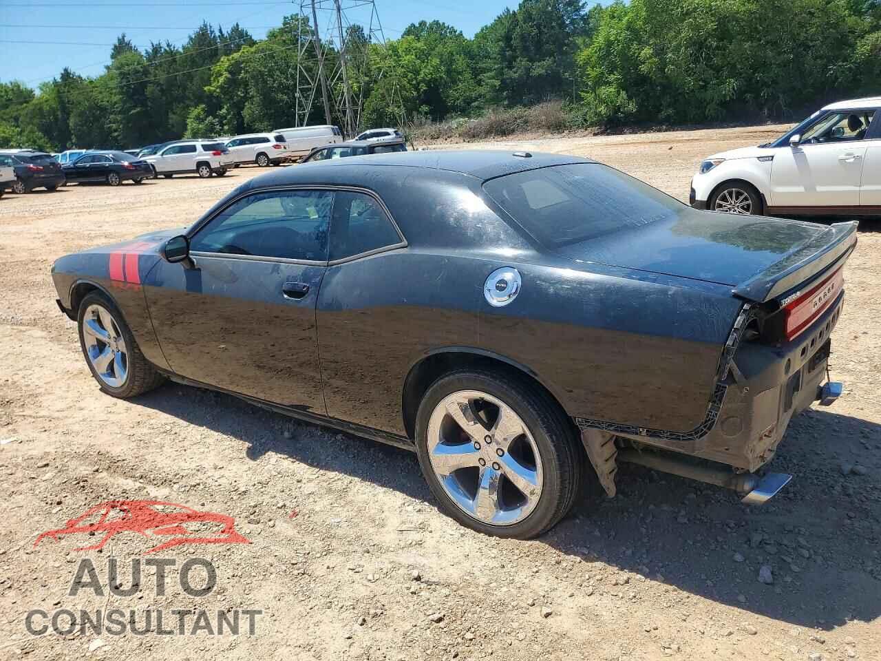 DODGE CHALLENGER 2012 - 2C3CDYBT9CH254219