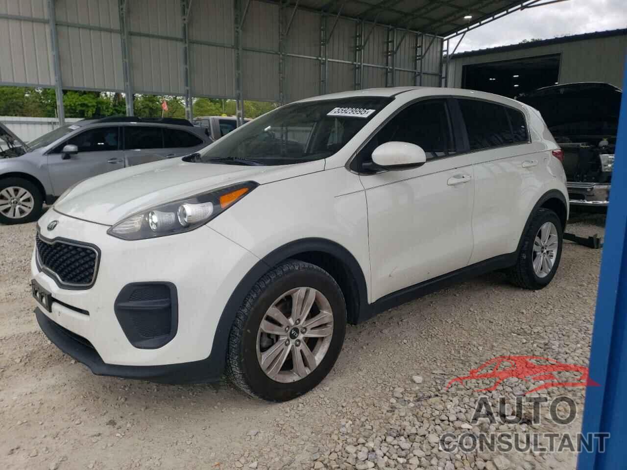 KIA SPORTAGE 2017 - KNDPM3AC7H7066822