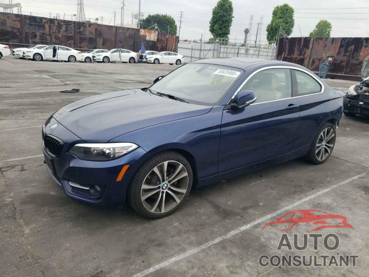 BMW 2 SERIES 2016 - WBA1F9C51GV546640