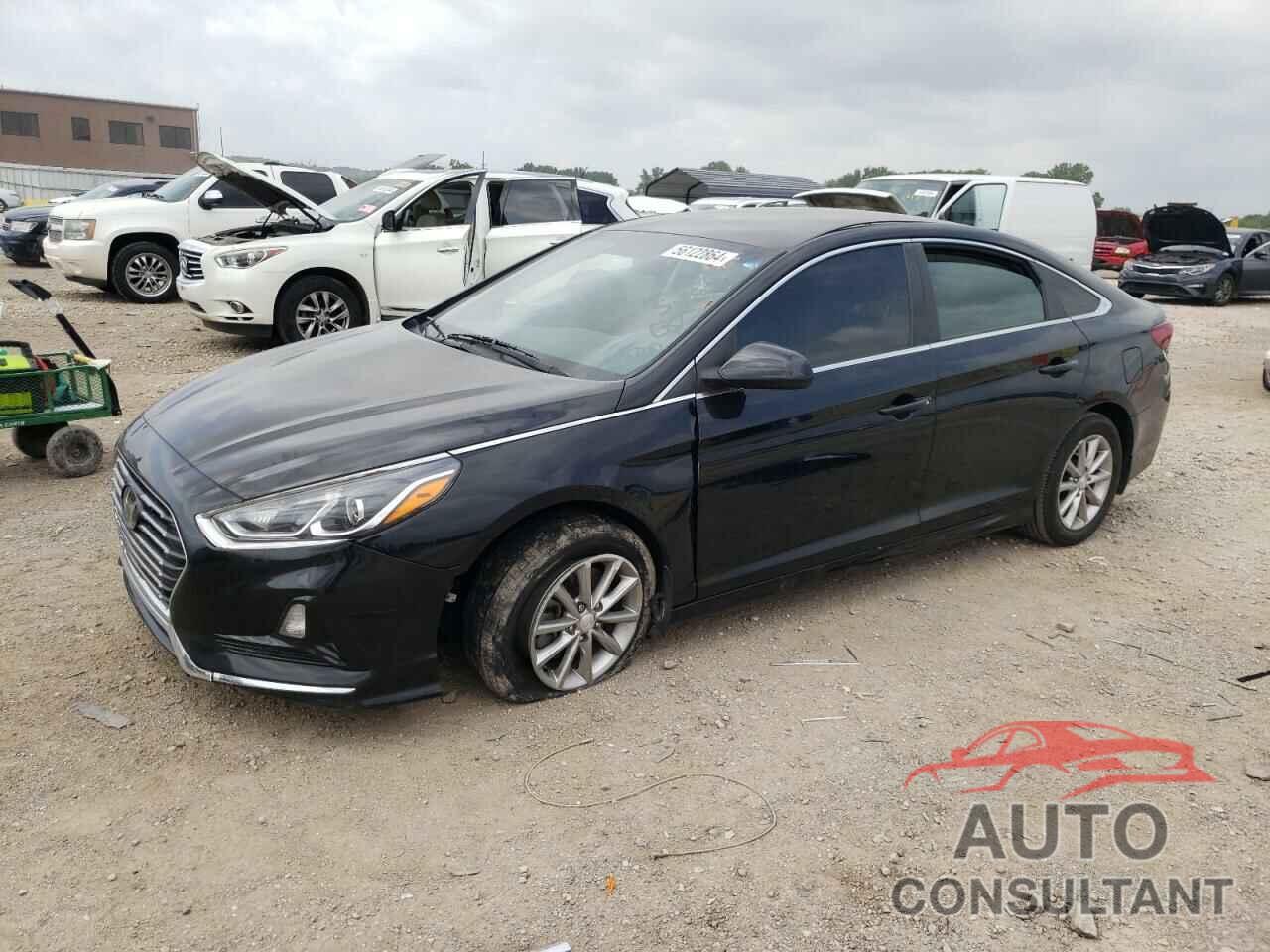 HYUNDAI SONATA 2019 - 5NPE24AF3KH741923