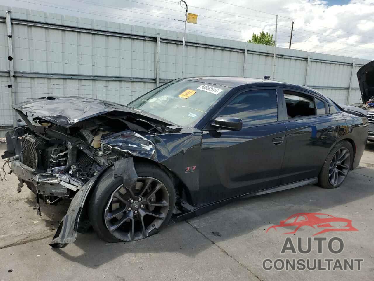 DODGE CHARGER 2021 - 2C3CDXGJ0MH503719