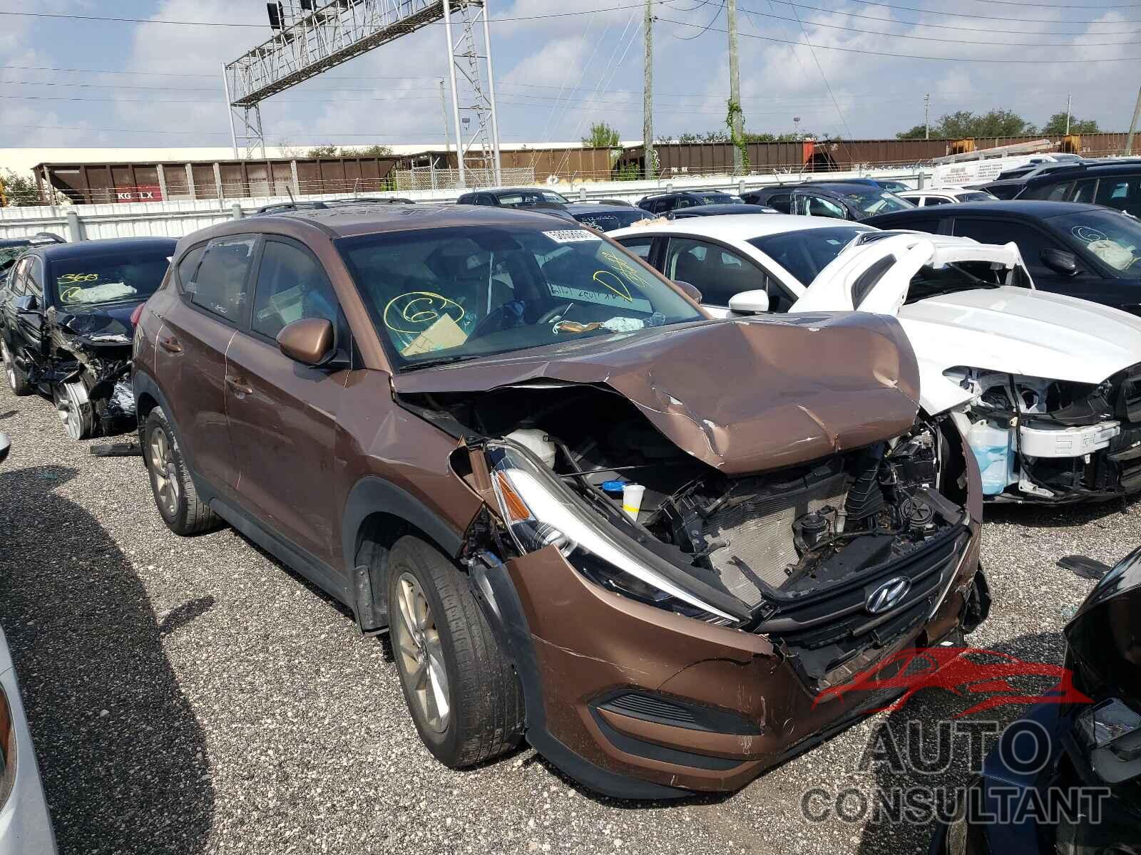 HYUNDAI TUCSON 2016 - KM8J23A49GU186170