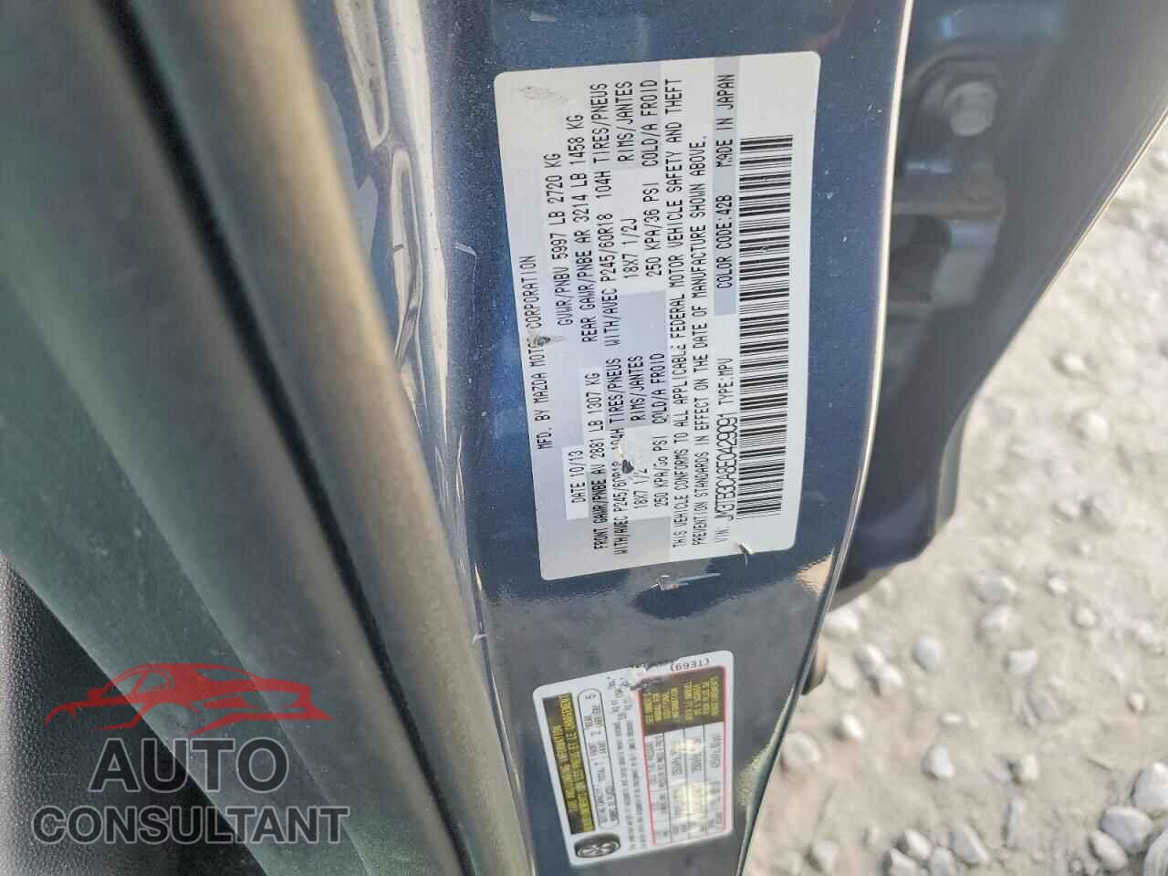 MAZDA CX-9 2014 - JM3TB3CA8E0429091