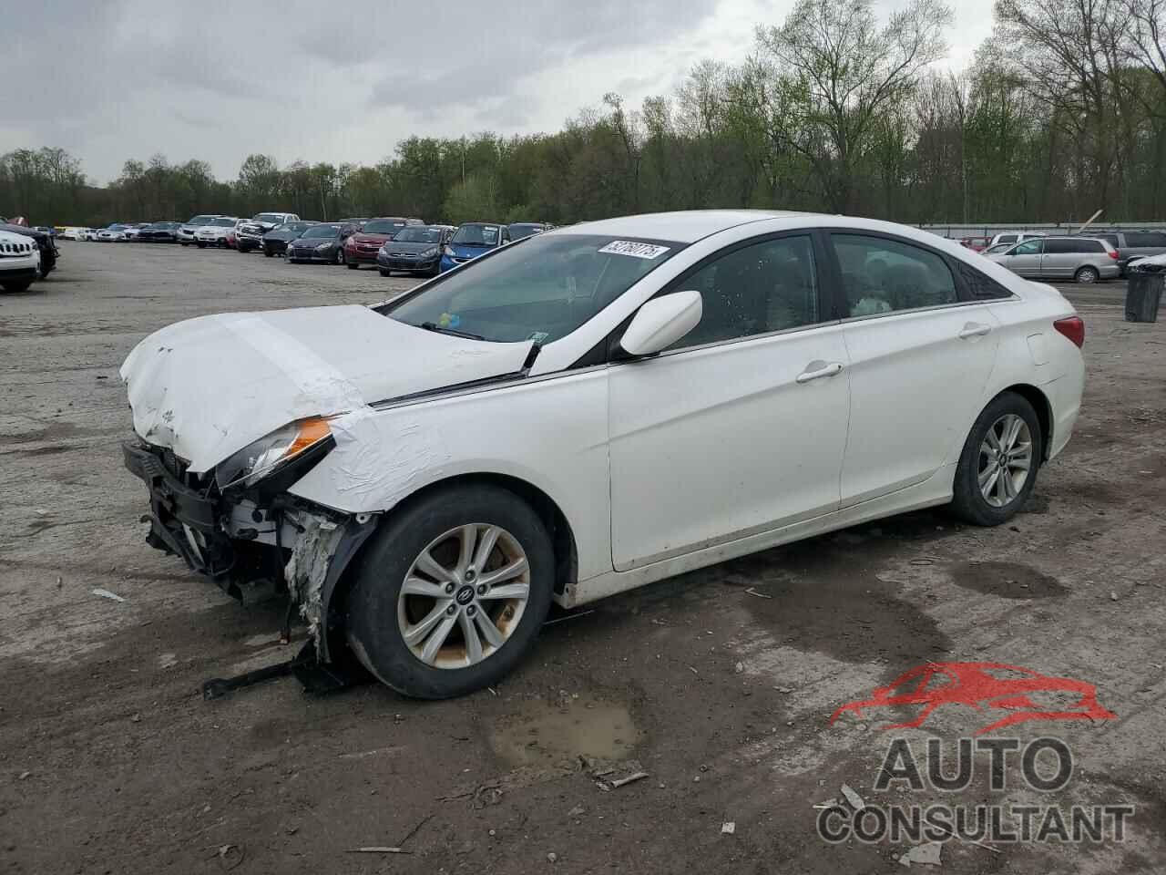 HYUNDAI SONATA 2013 - 5NPEB4AC1DH731884
