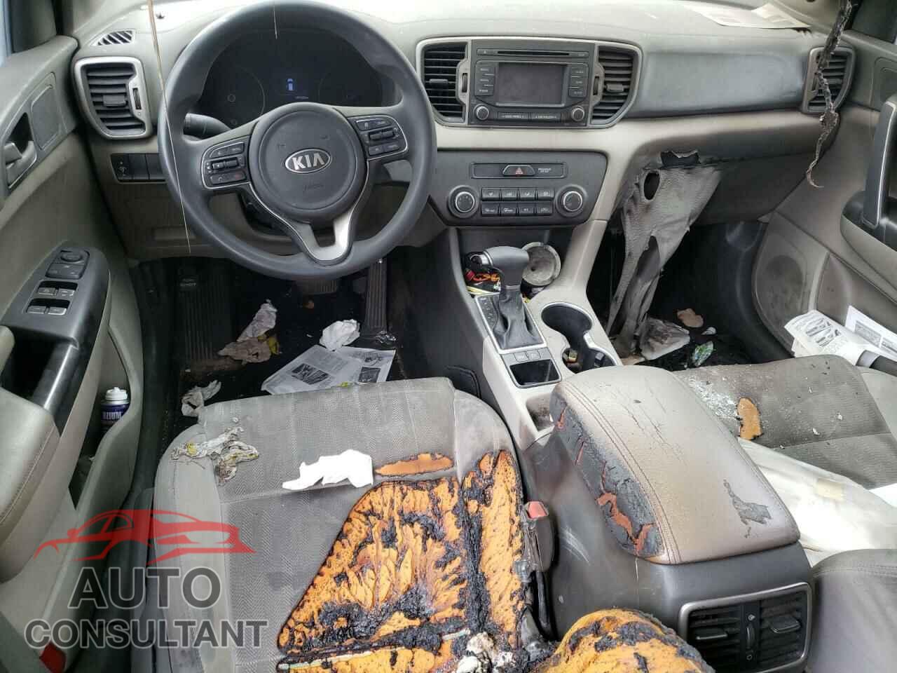 KIA SPORTAGE 2017 - KNDPM3AC5H7277288