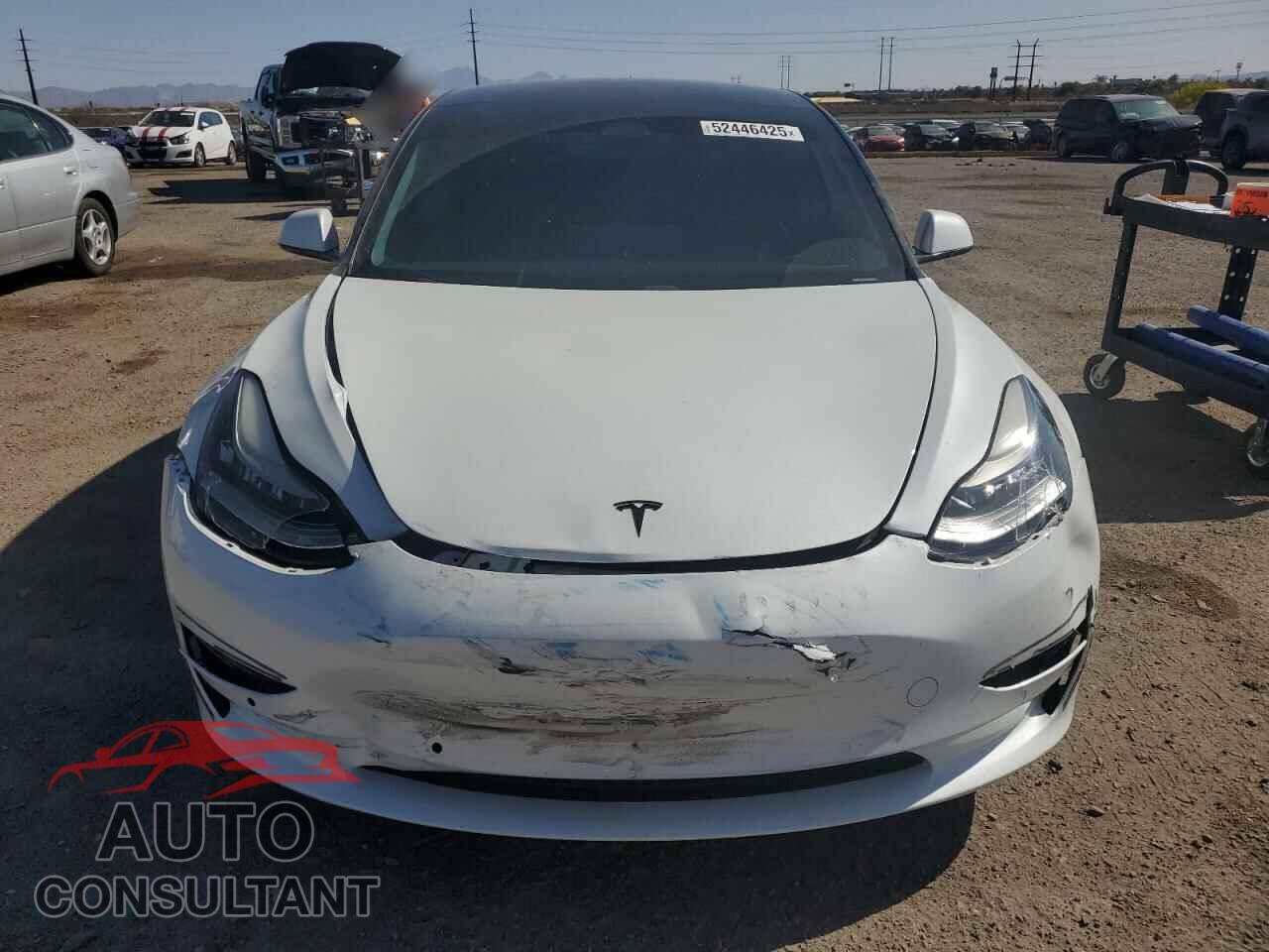 TESLA MODEL 3 2019 - 5YJ3E1EA3KF484269