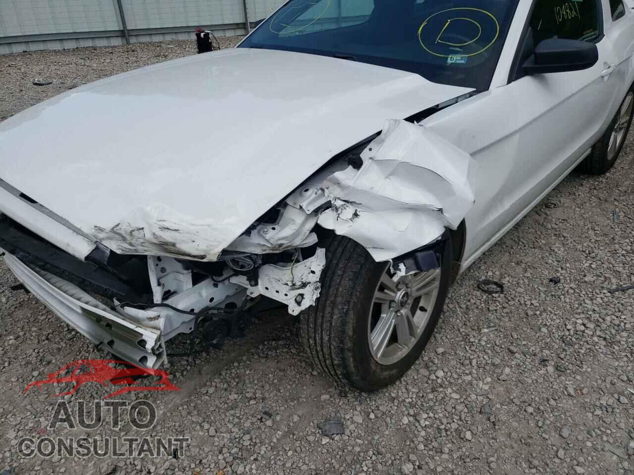 FORD MUSTANG 2014 - 1ZVBP8AM4E5245668