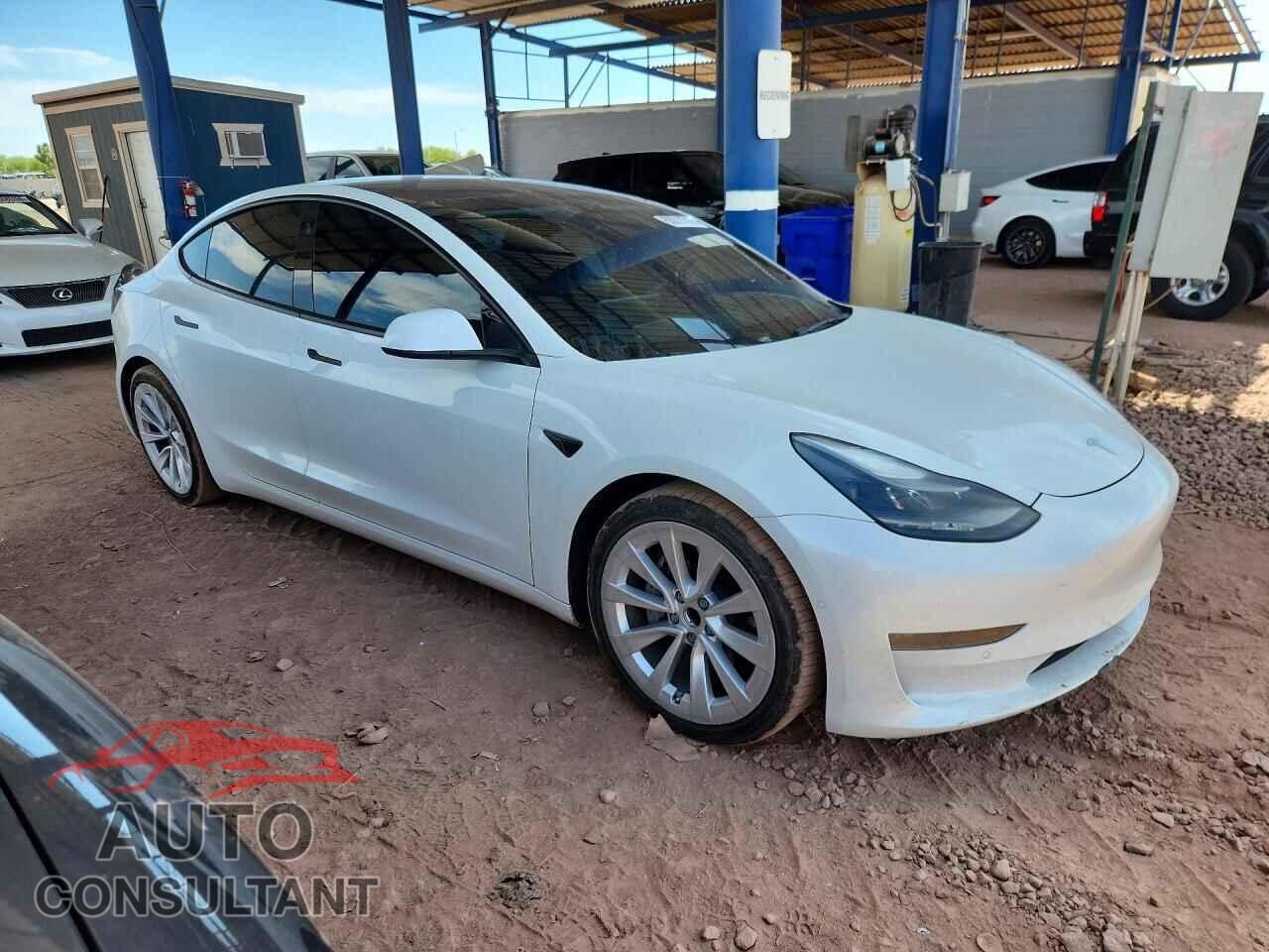 TESLA MODEL 3 2021 - 5YJ3E1EA1MF095942