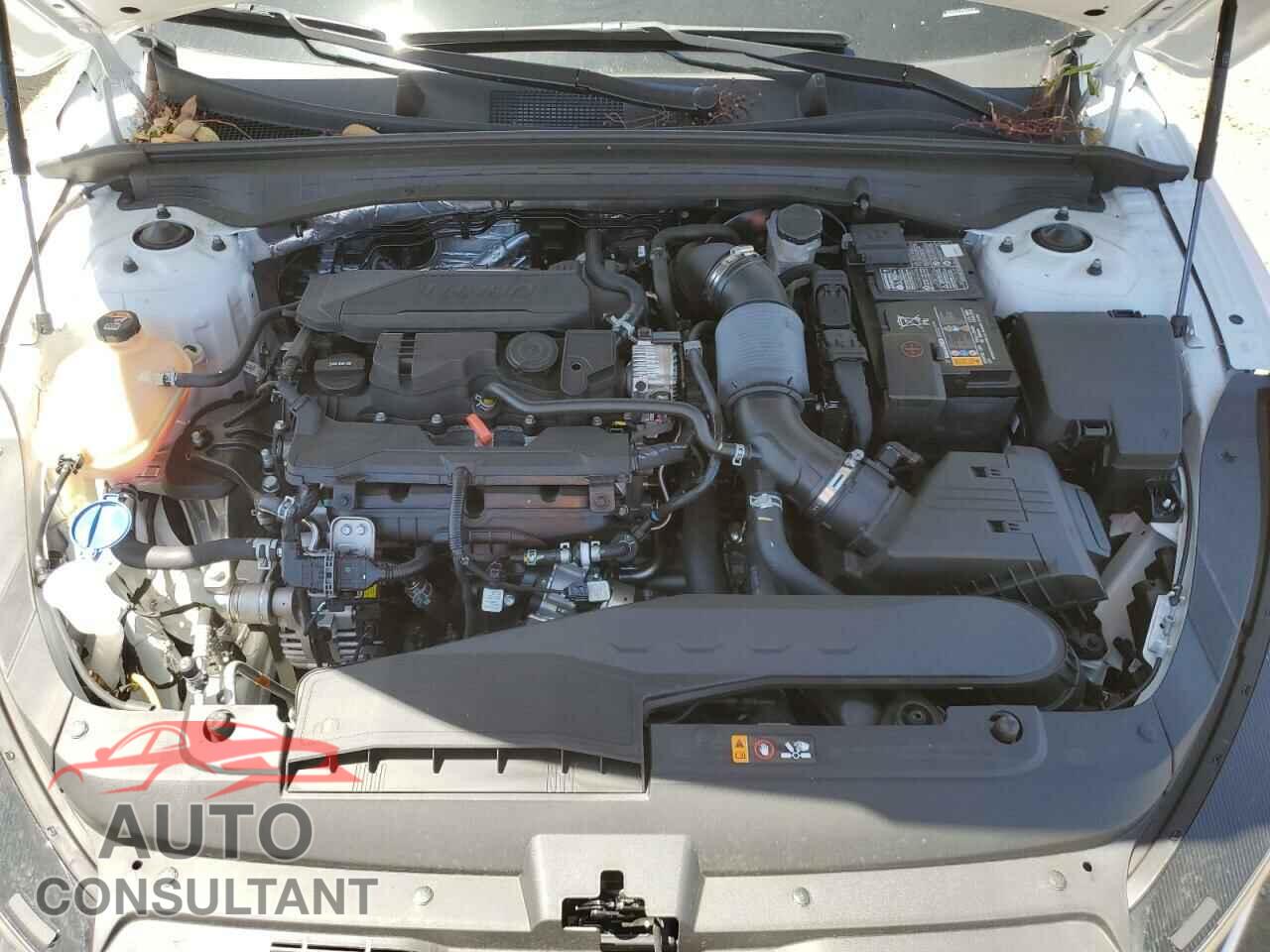 KIA K5 2023 - 5XXG34J21PG225212