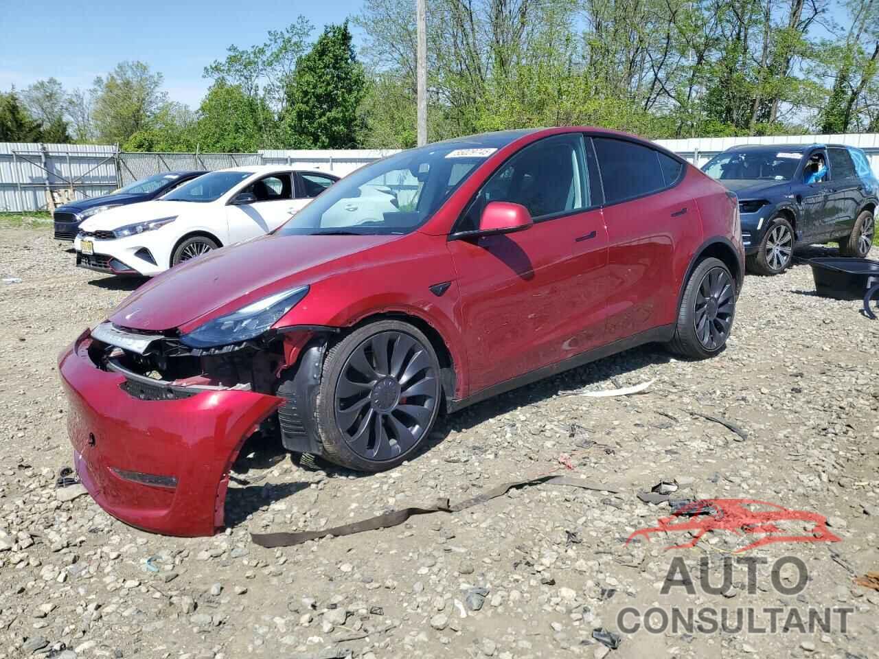 TESLA MODEL Y 2025 - 7SAYGDEF1SA359204