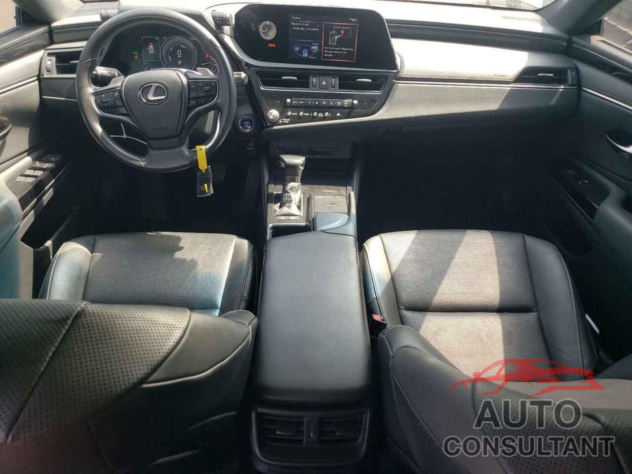 LEXUS ES300 2022 - 58ACA1C15NU020821