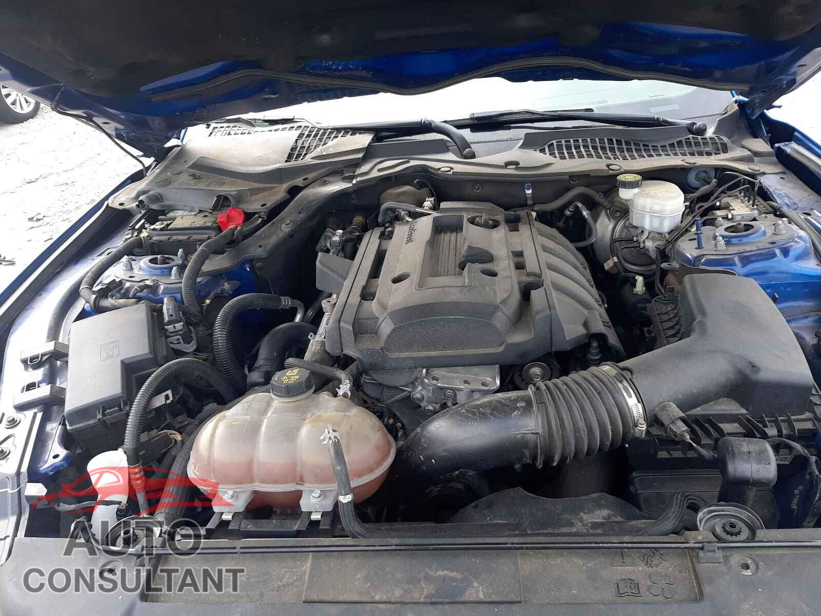 FORD MUSTANG 2018 - 1FA6P8TH8J5178738
