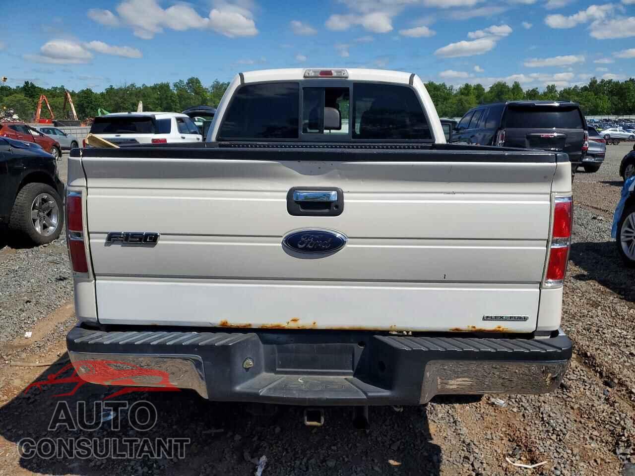 FORD F150 2011 - 1FTFX1EF3BFA10336