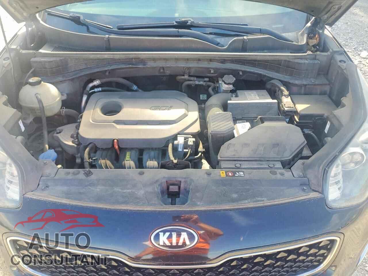 KIA SPORTAGE 2017 - KNDPMCAC6H7243473