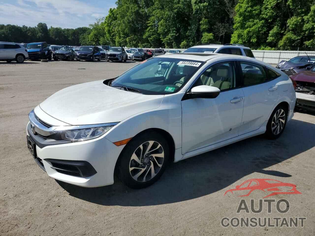 HONDA CIVIC 2017 - 2HGFC2F71HH512960