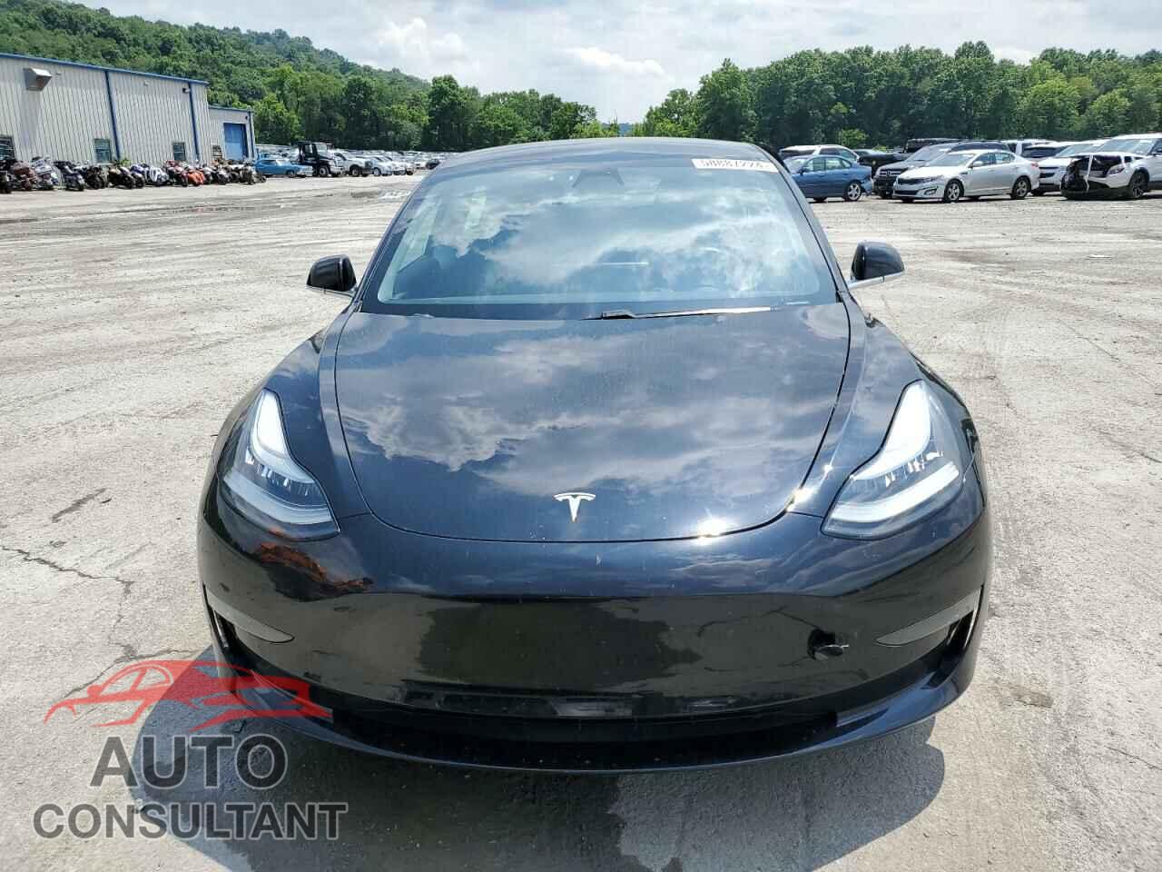TESLA MODEL 3 2019 - 5YJ3E1EB3KF199810