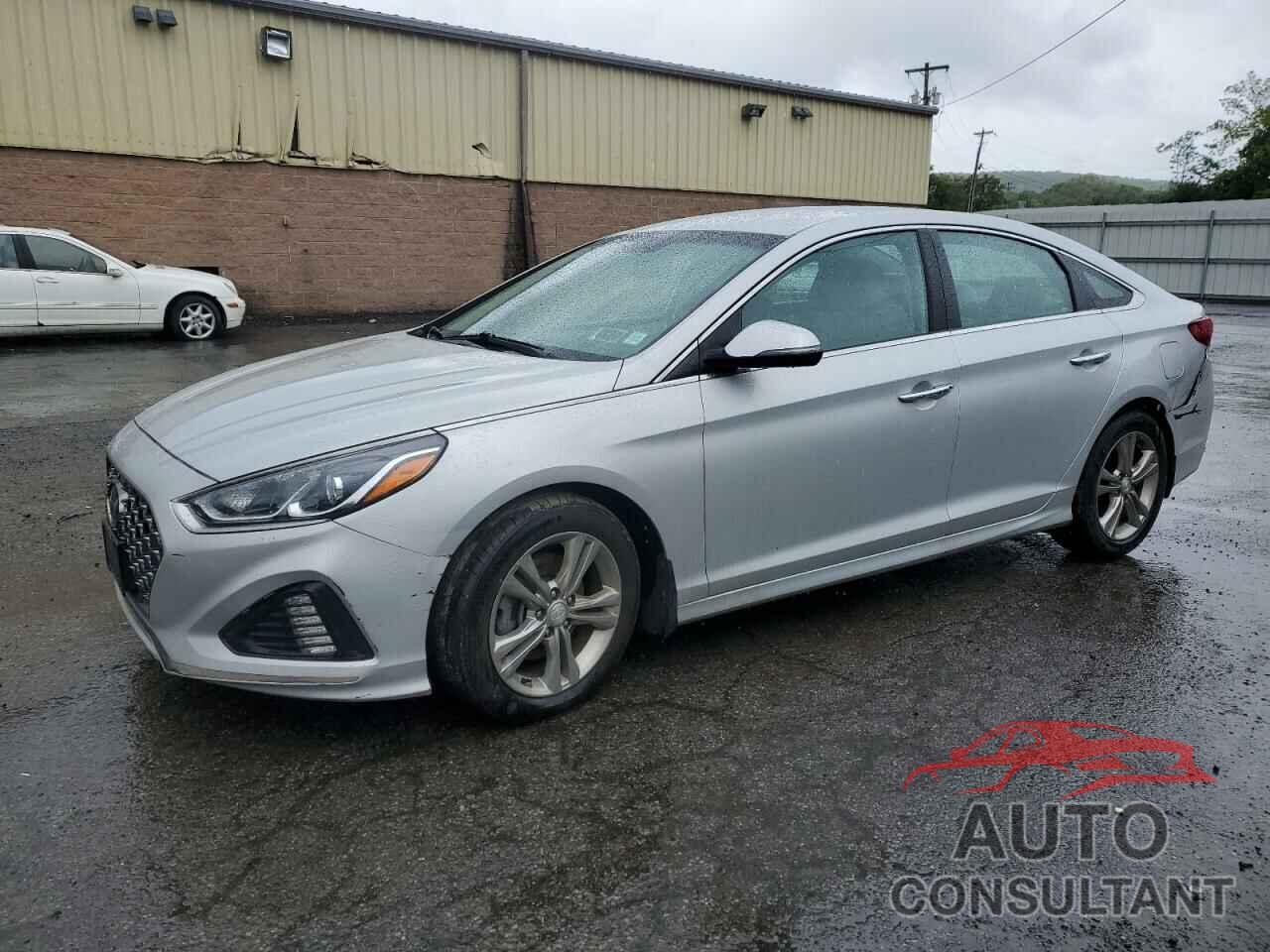 HYUNDAI SONATA 2019 - 5NPE34AF3KH813720