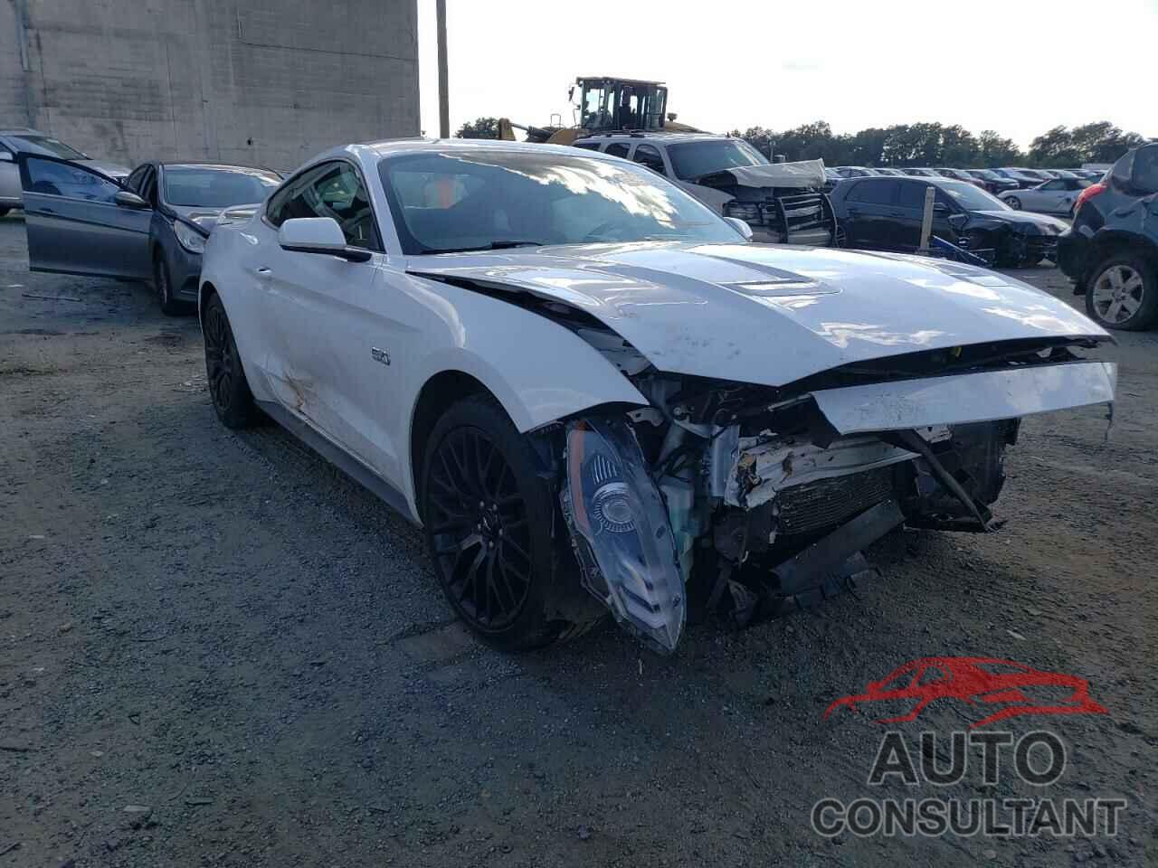 FORD MUSTANG 2019 - 1FA6P8CFXK5146664