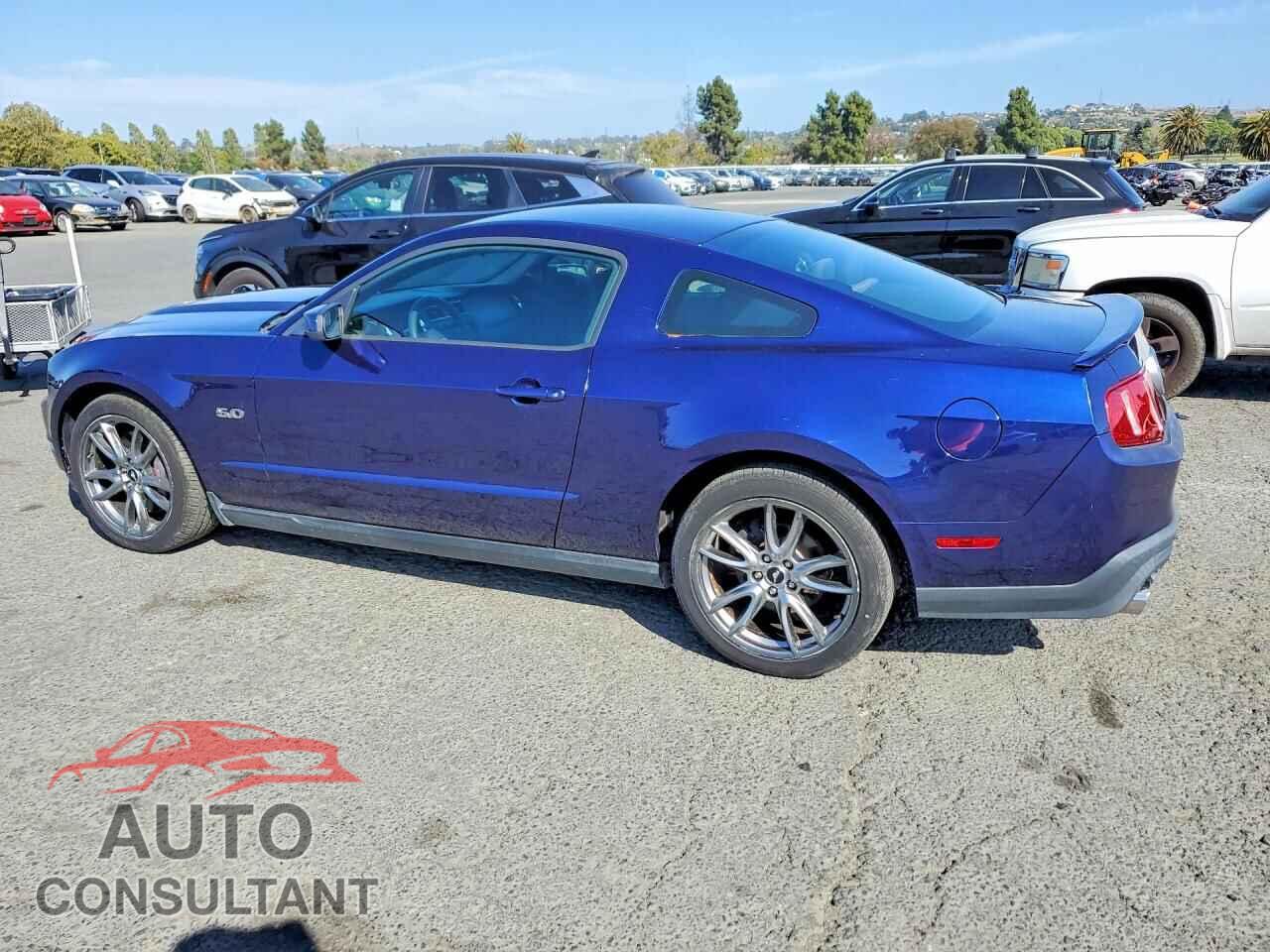 FORD MUSTANG 2011 - 1ZVBP8CF2B5169572